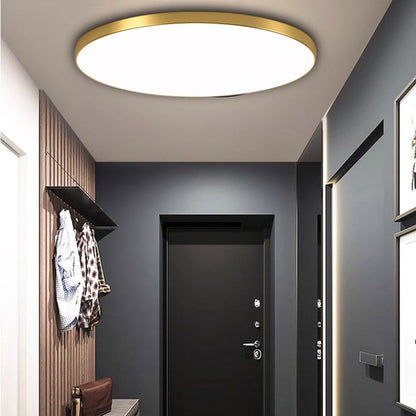 Sleek Circular LED Ceiling Light Flush Mount Fixtures
