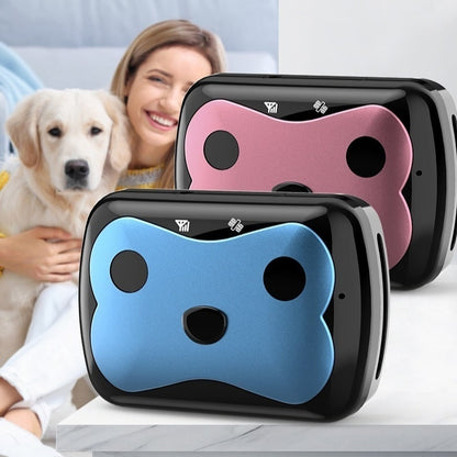 Pet GPS Location Tracker Collar