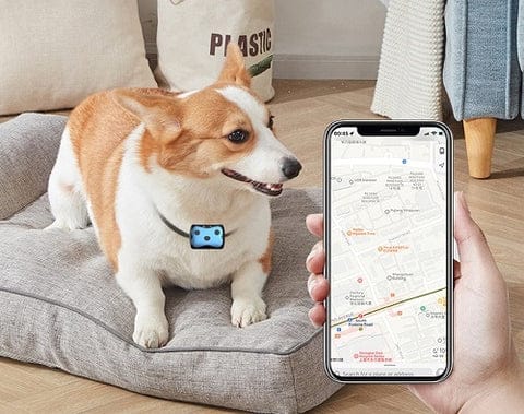 Pet GPS Location Tracker Collar