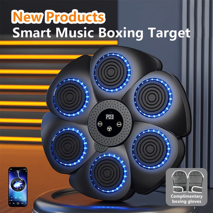Portable Boxing Punching Bag Machine