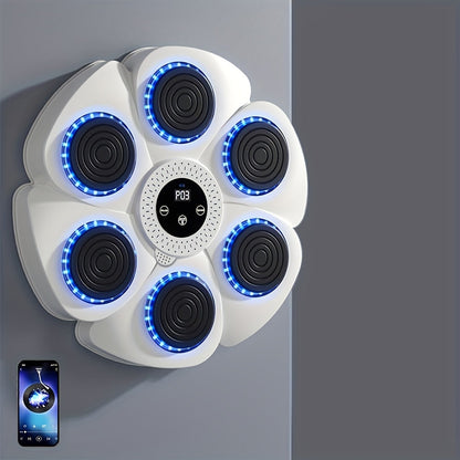 Portable Boxing Punching Bag Machine