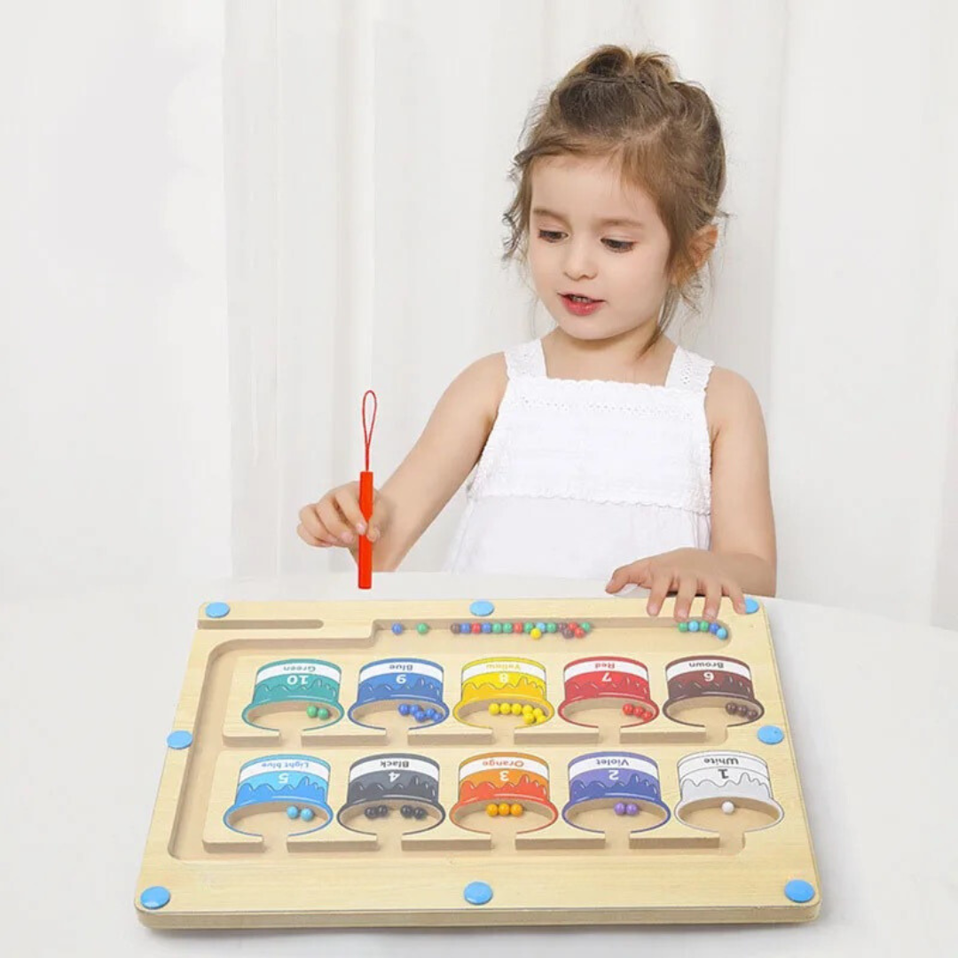 Educational Magnetic Maze Toy - Halri