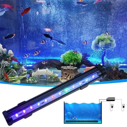 Colorful LED Aquarium Air Bubble Light Show - Halri