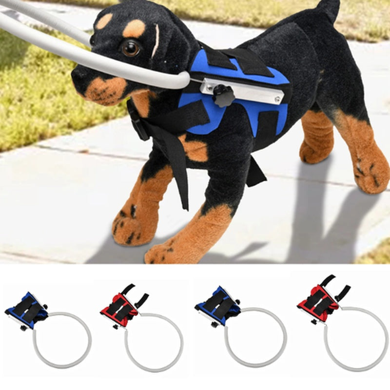 Safe Adjustable Pet Blind Dog Protection Collar Ring - Halri