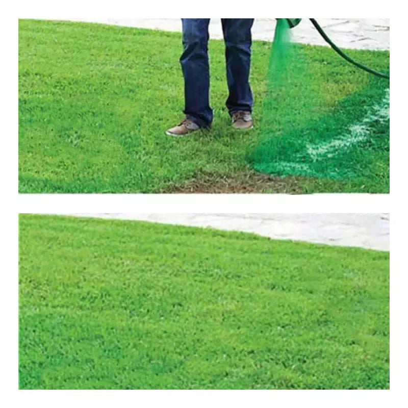 Easy Grow Grass Seed Spray