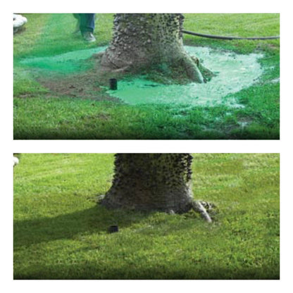 Easy Grow Grass Seed Spray