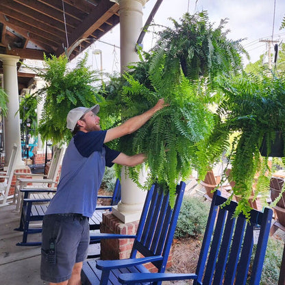 Durable Fake Boston Fern Plant – Indoor Outdoor Green Decor