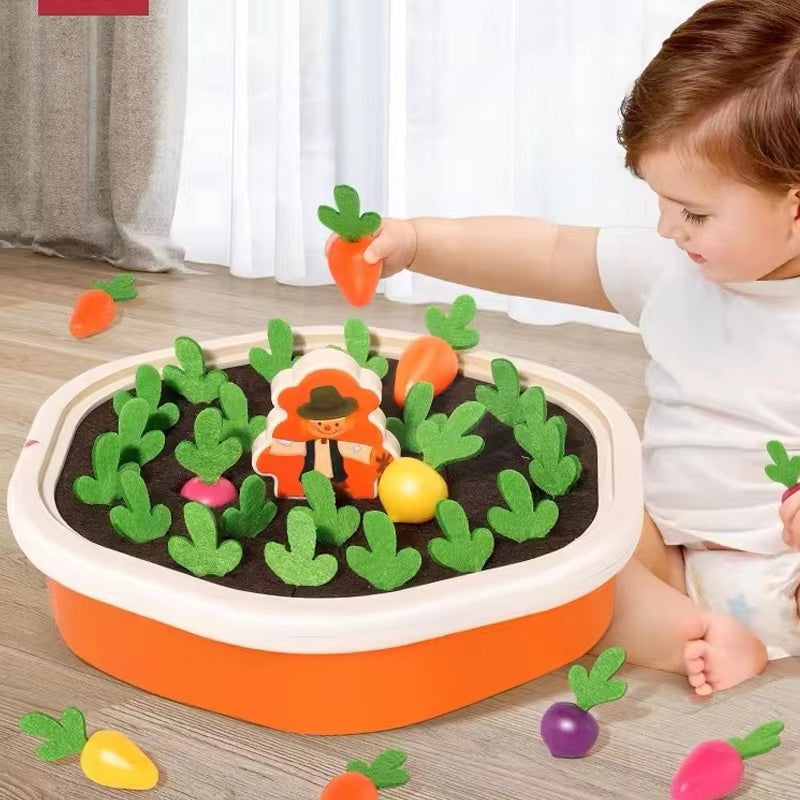 Colorful Learning Toy Set for Kids Ages 3+ - Halri