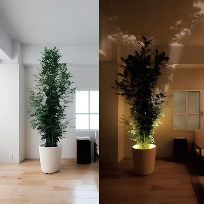 Sleek LED Wall Light Adjustable Spotlight
