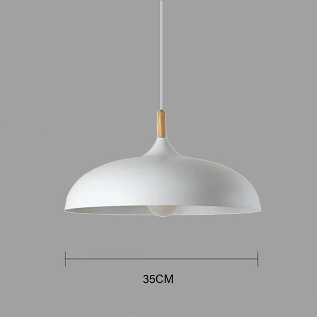 Simple Modern Pendant Lighting Fixture