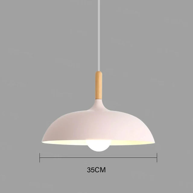 Simple Modern Pendant Lighting Fixture