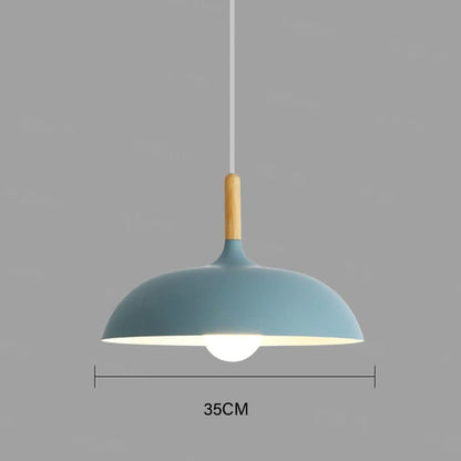 Simple Modern Pendant Lighting Fixture