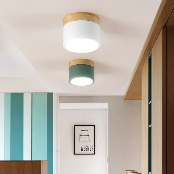 Modern Slim LED Ceiling Fixture - Halri