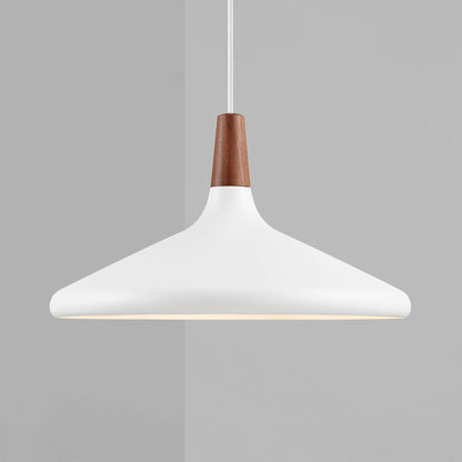 Modern Hanging Light Fixtures for Living Room Ceiling