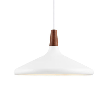 Modern Hanging Light Fixtures for Living Room Ceiling