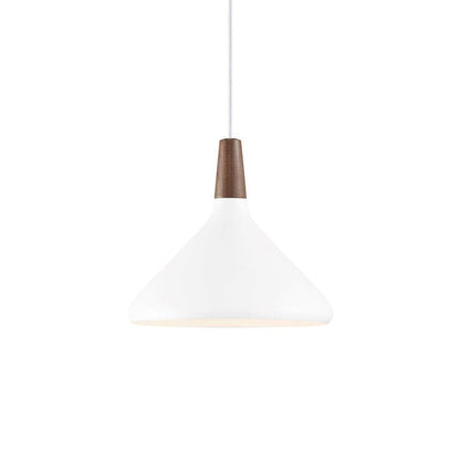 Modern Hanging Light Fixtures for Living Room Ceiling