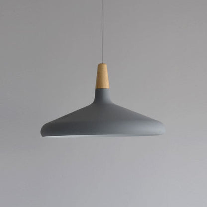 Modern Hanging Light Fixtures for Living Room Ceiling