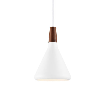 Modern Hanging Light Fixtures for Living Room Ceiling