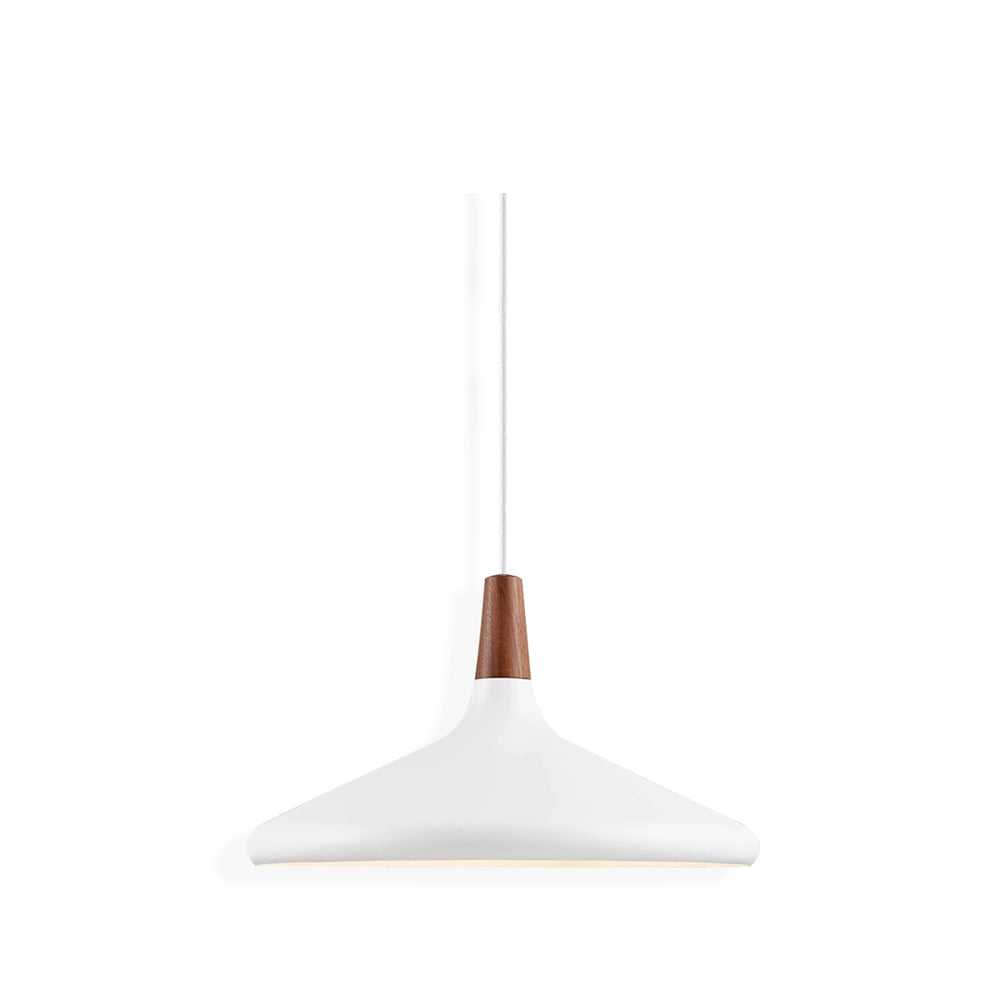 Modern Hanging Light Fixtures for Living Room Ceiling