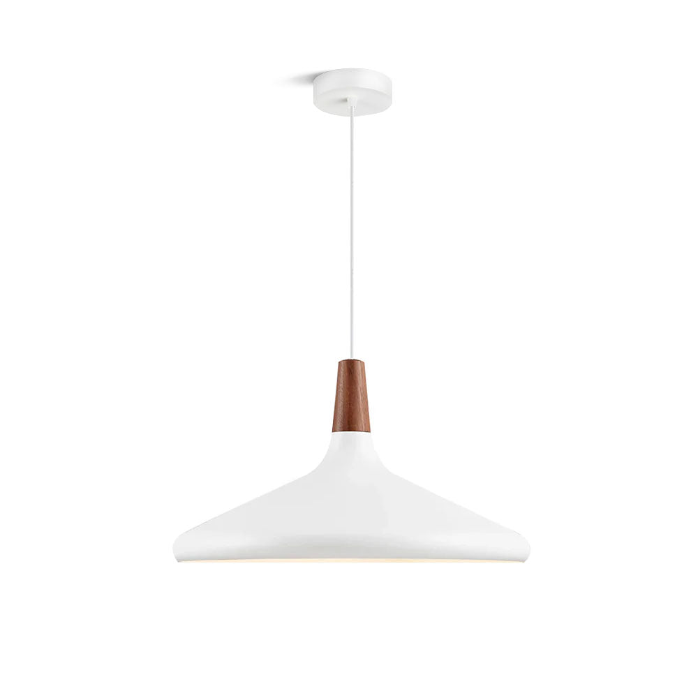 Modern Hanging Light Fixtures for Living Room Ceiling - Halri