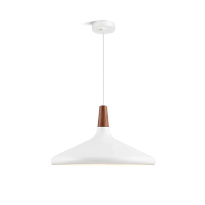 Modern Hanging Light Fixtures for Living Room Ceiling - Halri