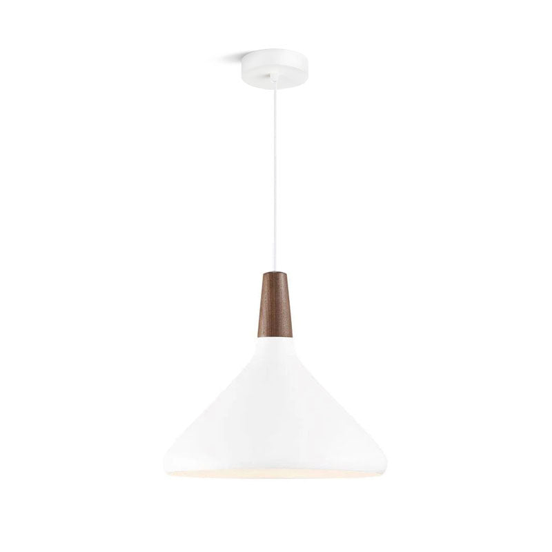 Modern Hanging Light Fixtures for Living Room Ceiling