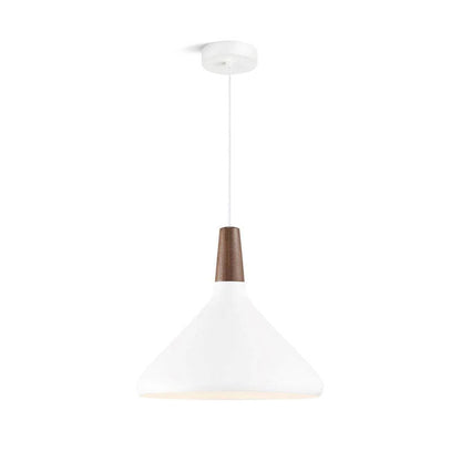 Modern Hanging Light Fixtures for Living Room Ceiling