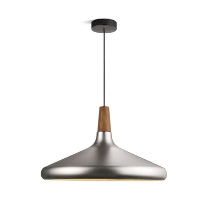 Modern Hanging Light Fixtures for Living Room Ceiling