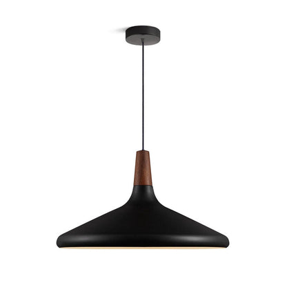 Modern Hanging Light Fixtures for Living Room Ceiling