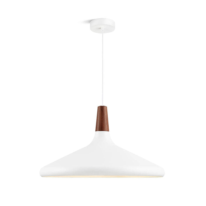 Modern Hanging Light Fixtures for Living Room Ceiling