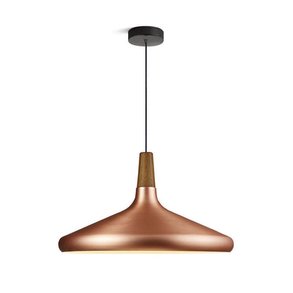 Modern Hanging Light Fixtures for Living Room Ceiling