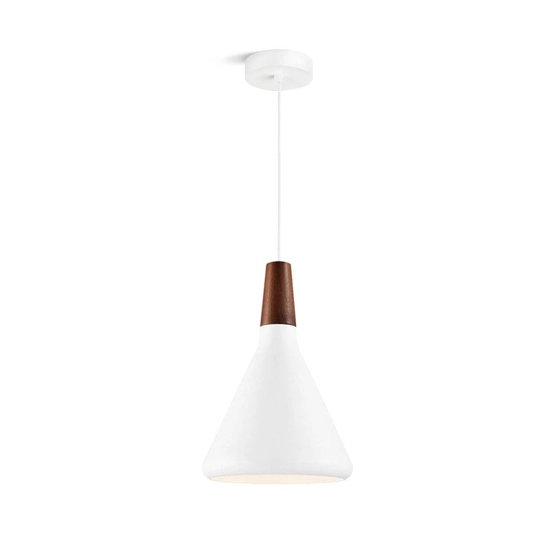 Modern Hanging Light Fixtures for Living Room Ceiling