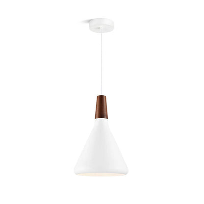 Modern Hanging Light Fixtures for Living Room Ceiling