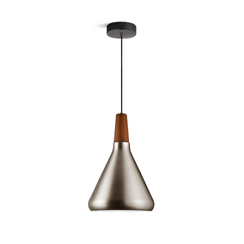 Modern Hanging Light Fixtures for Living Room Ceiling