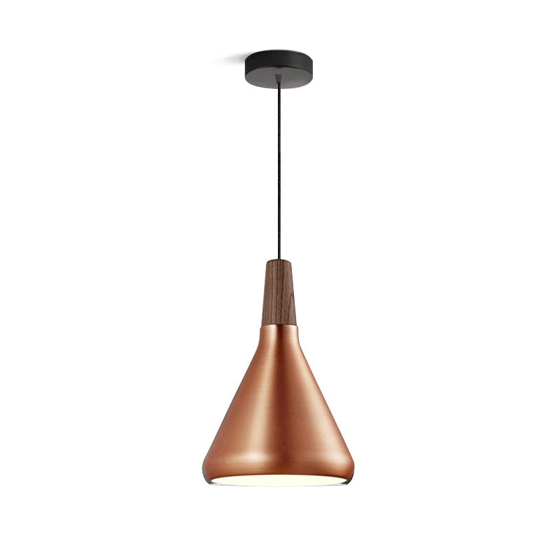 Modern Hanging Light Fixtures for Living Room Ceiling