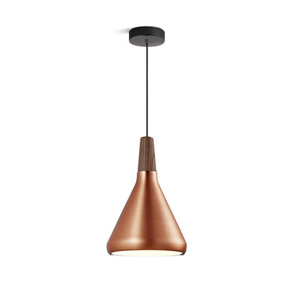 Modern Hanging Light Fixtures for Living Room Ceiling