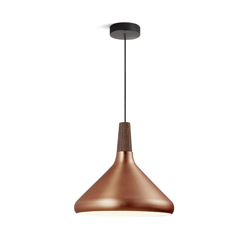 Modern Hanging Light Fixtures for Living Room Ceiling