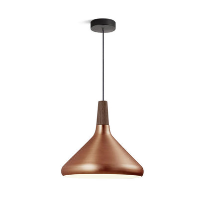 Modern Hanging Light Fixtures for Living Room Ceiling