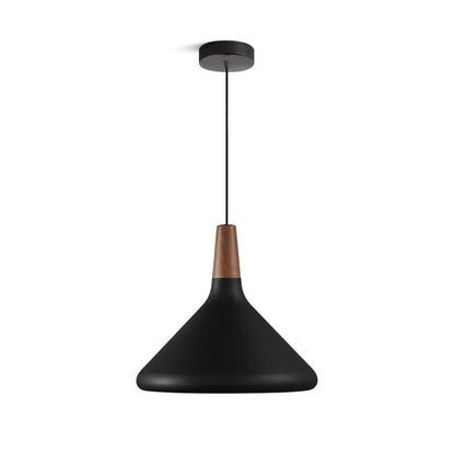 Modern Hanging Light Fixtures for Living Room Ceiling