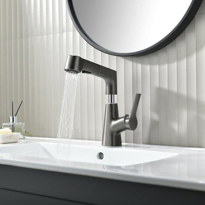 Flexible Bathroom Faucet with Pull Out Shower Head