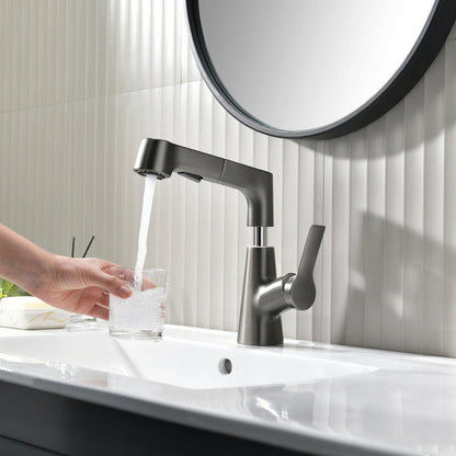 Flexible Bathroom Faucet with Pull Out Shower Head