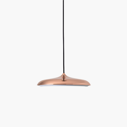 Simple Elegant LED Hanging Light Fixture