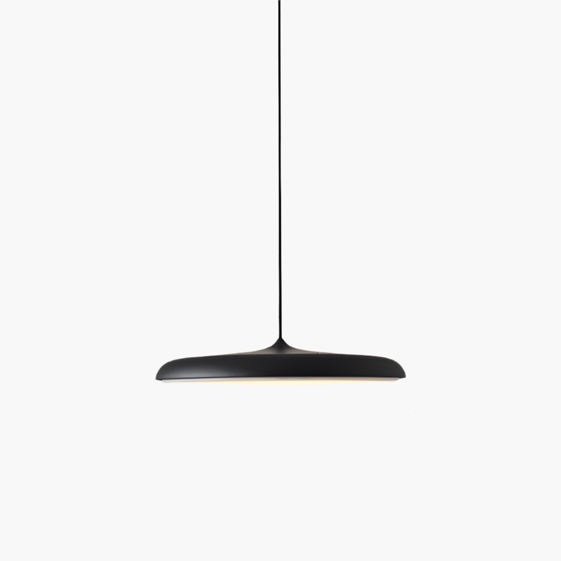 Simple Elegant LED Hanging Light Fixture
