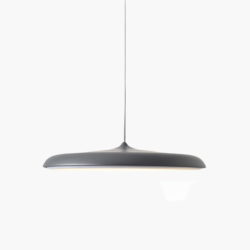 Simple Elegant LED Hanging Light Fixture