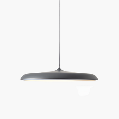 Simple Elegant LED Hanging Light Fixture