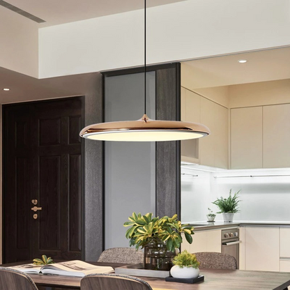 Simple Elegant LED Hanging Light Fixture