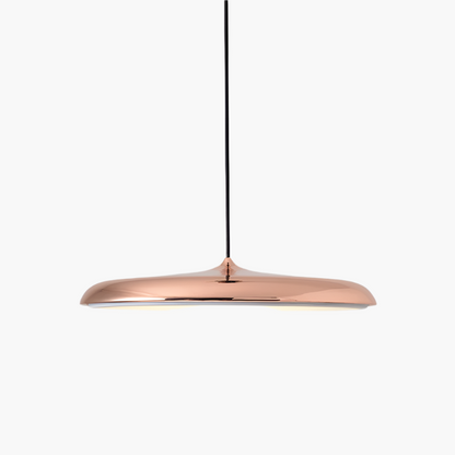 Simple Elegant LED Hanging Light Fixture