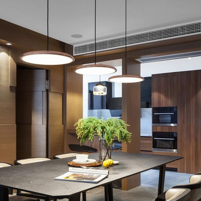 Simple Elegant LED Hanging Light Fixture