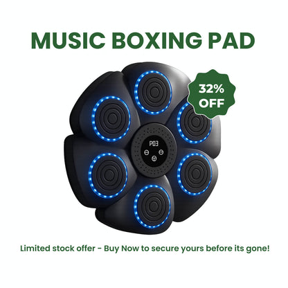 Fitness Punching Kickboxing Pad