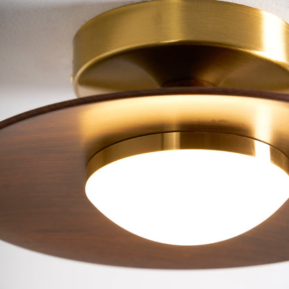Slim LED Flush Mount Ceiling Light Fixture